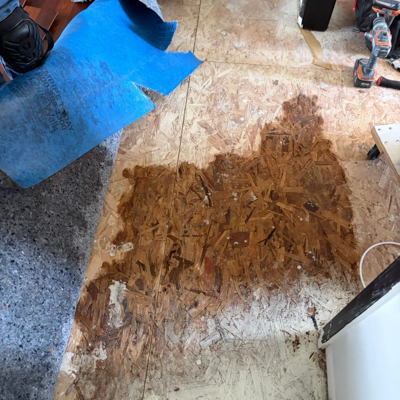 Air movers and dehumidifiers running in Center Grove Indiana home dry-out